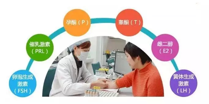 试管婴儿去哪里