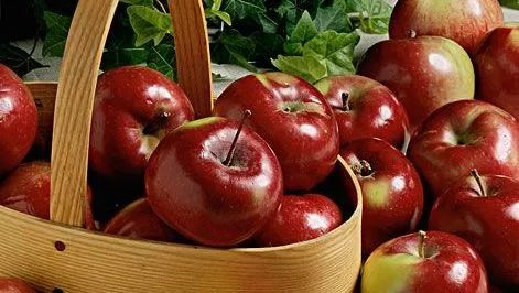 保养卵巢的食物 苹果.png