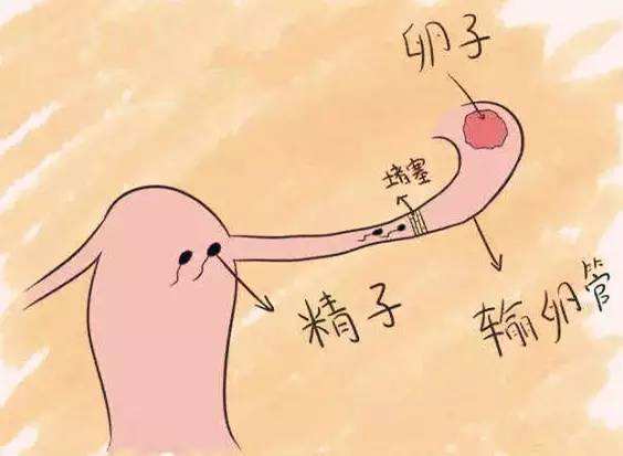 郑州第三代试管婴儿.jpg