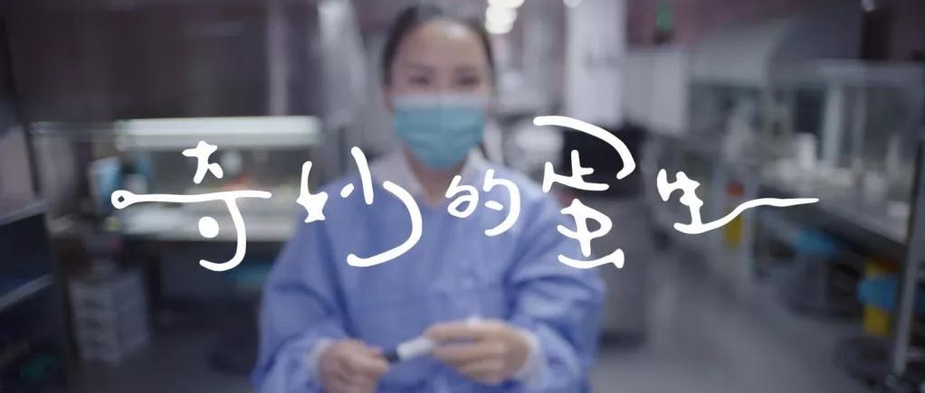 奇妙的蛋生